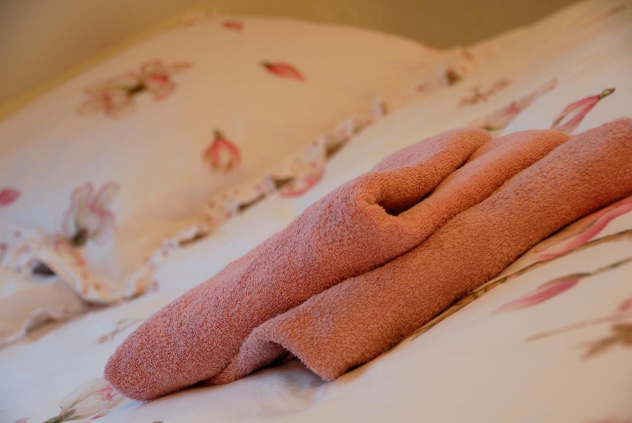 B&B De Strandhoeve 지손 외부 사진